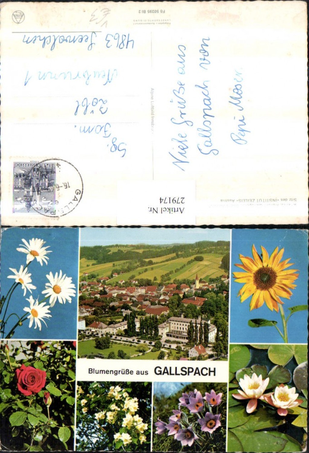 279174,Gallspach Totale Blumen Rose Margerite Sonnenblume Seerose Mehrbildkarte pub Alpine Luftbild 50295