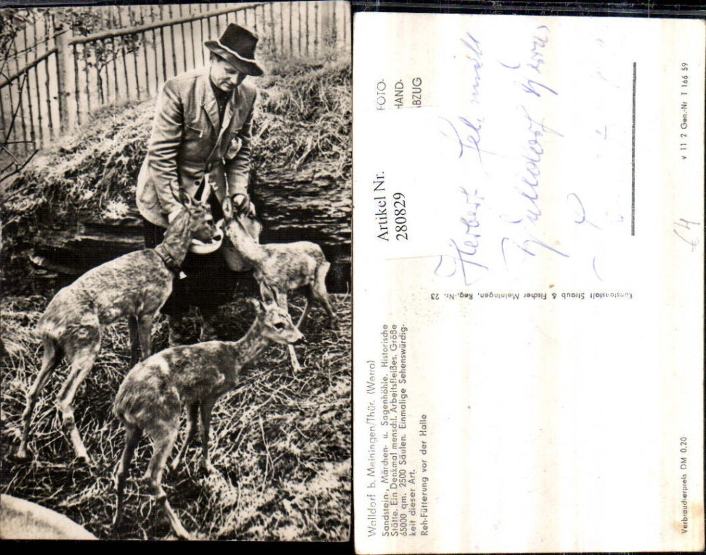 280829, Walldorf near Meiningen, sandstone fairy tale and legend cave, monument: man feeding deer