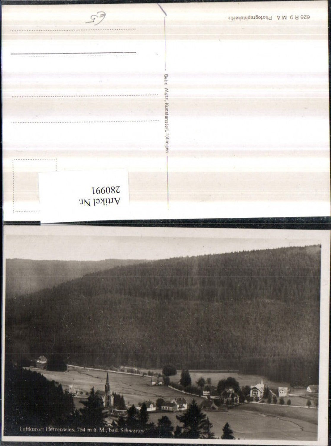 280991, Herrenwies in the Black Forest, partial view