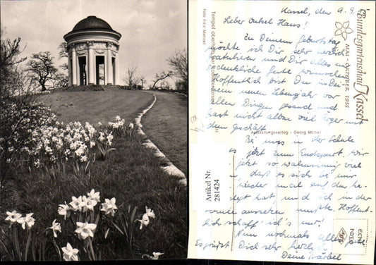 281424,Kassel Tempel oberhalb der Rosenterrasse Narzissen