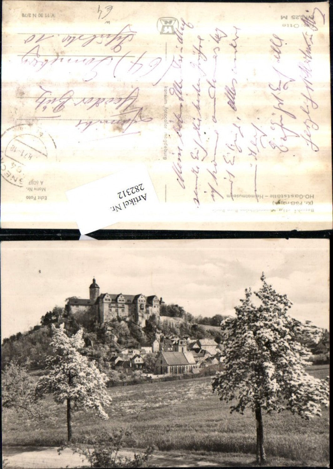 282312,Rani's partial view with castle