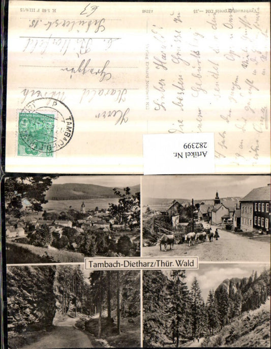 282399,Tambach-Dietharz Totale Straßenansicht Waldweg Mehrbildkarte
