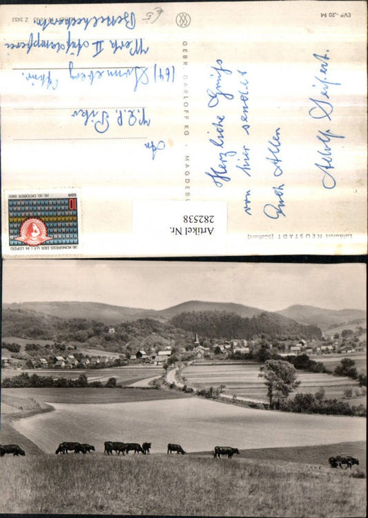 282538,Neustadt im Südharz Totale Rinder