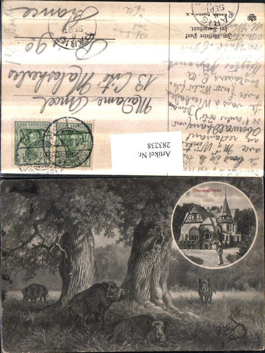 283238,Im Messeler Park b. Darmstadt Oberwaldhaus Wildschweine Jagd Mehrbildkarte