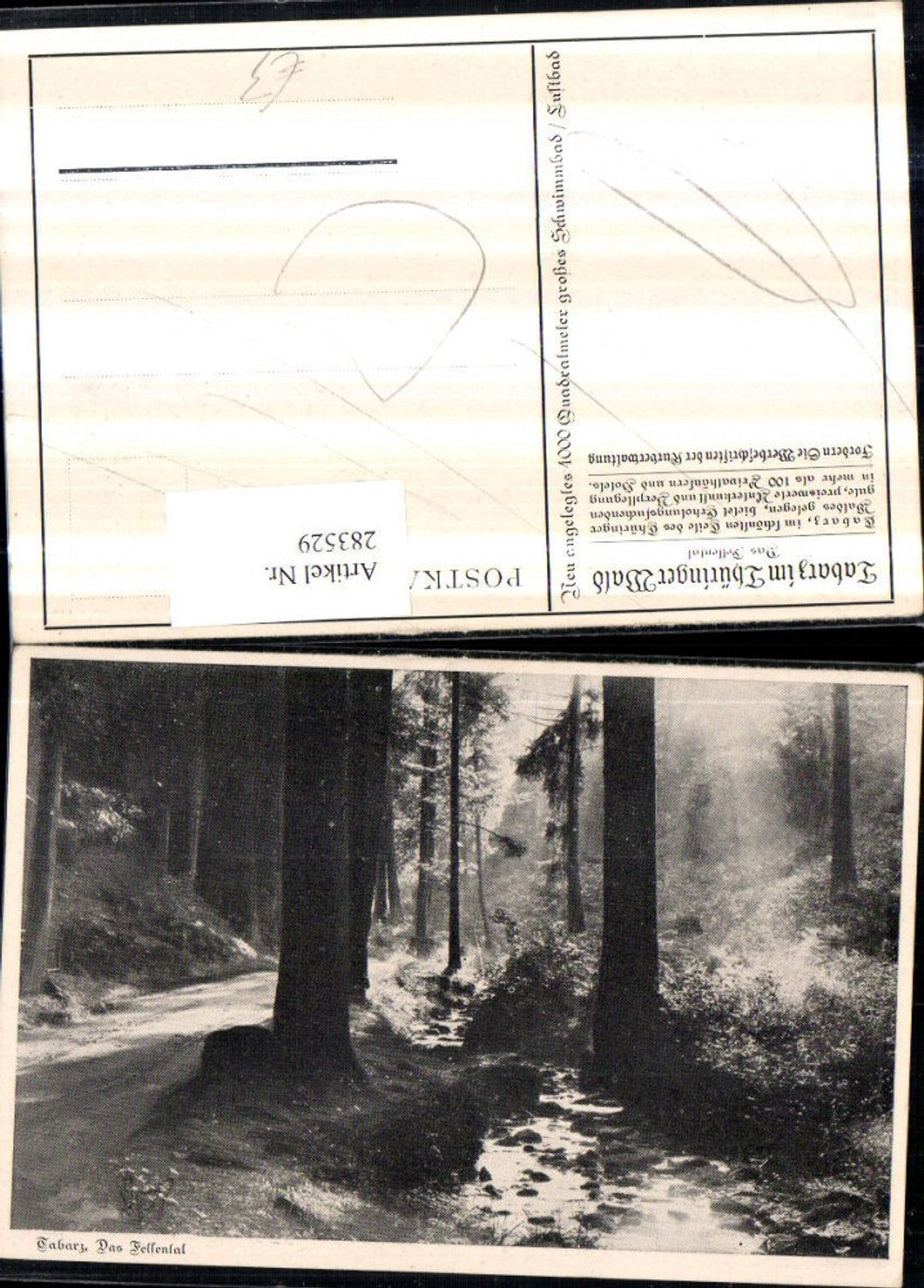 283529, Tabarz in the Thuringian Forest, Felsental area