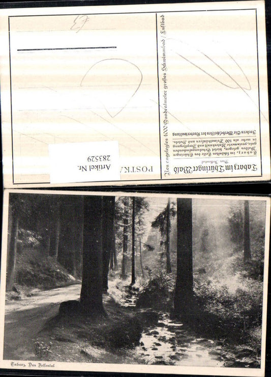 283529,Tabarz im Thüringer Wald Felsental Partie