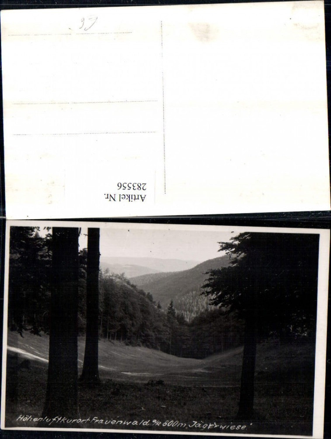 283556,Frauenwald Jägerwiese Landschaft Wald