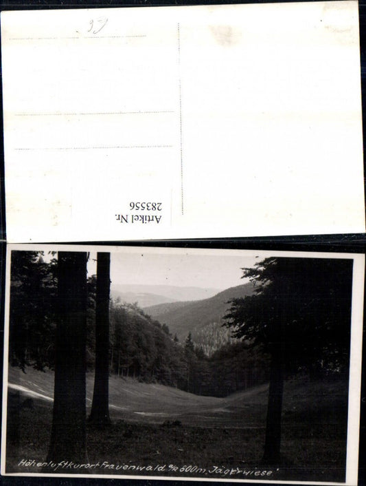 283556, Frauenwald Jägerwiese Landscape Forest