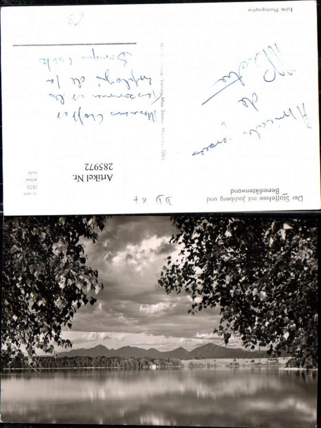 285972,Der Staffelsee m. Jochberg u. Benediktenwand