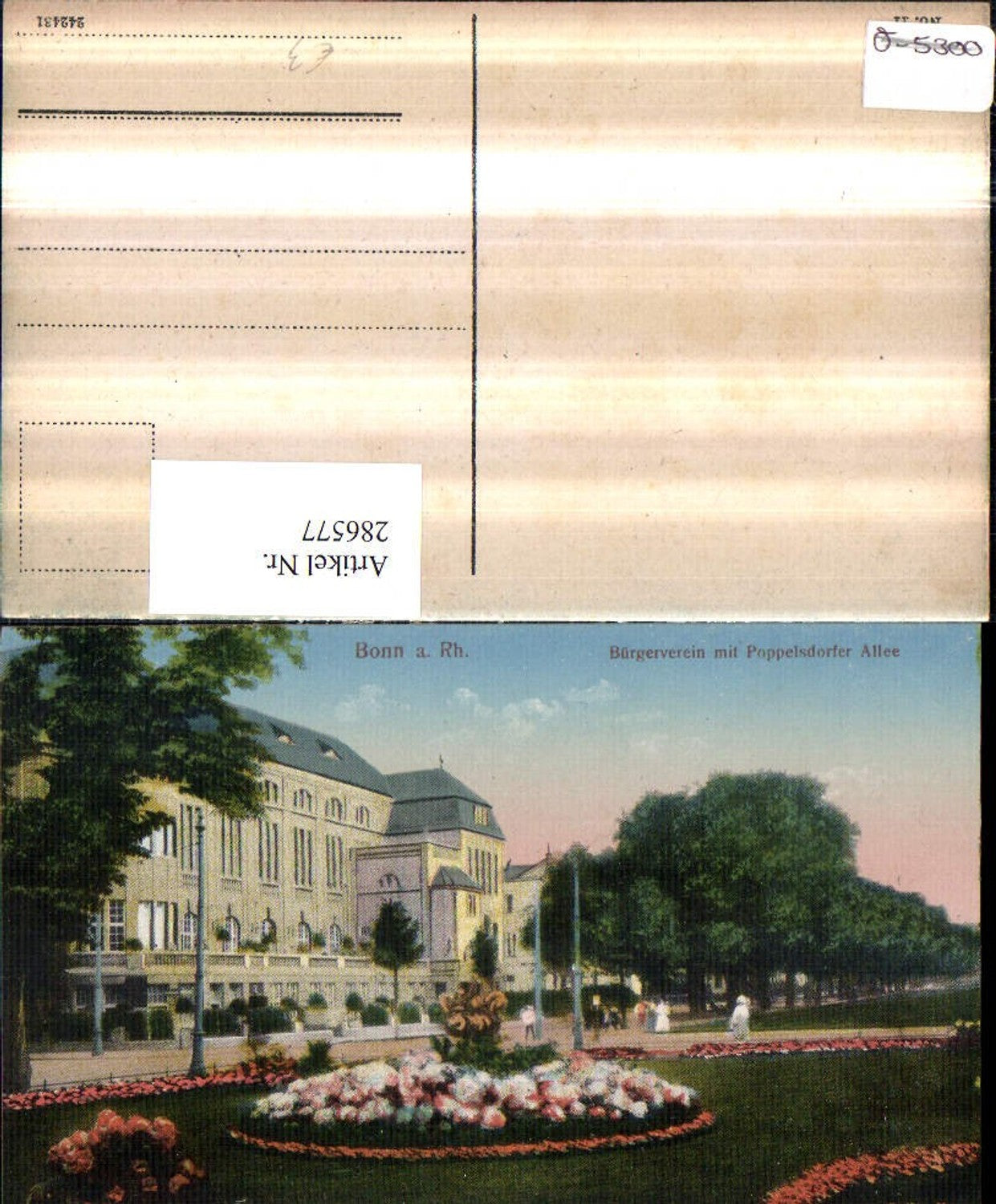 286577,Bonn am Rhein Bürgerverein m. Poppelsdorfer Allee