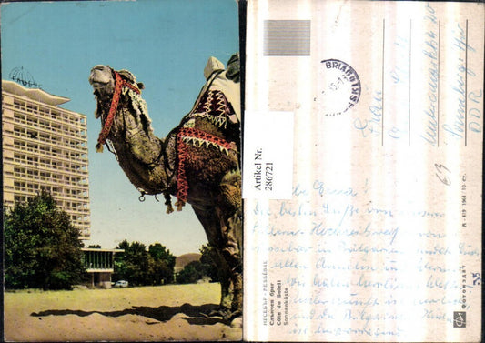 286721,Nessebre Nessebar Cote du Soleil Sonnenküste Hotel Kamel