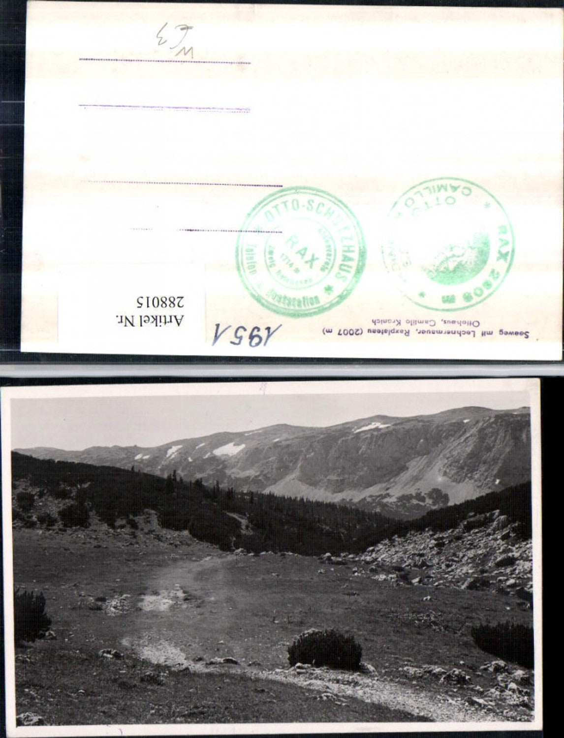 288015,Seeweg m. Lechnermauern Raxplateau Ottohaus Bergkulisse b. Reichenau
