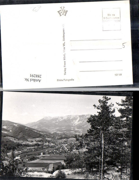 288291,Payerbach an d. Rax Totale Bergkulisse