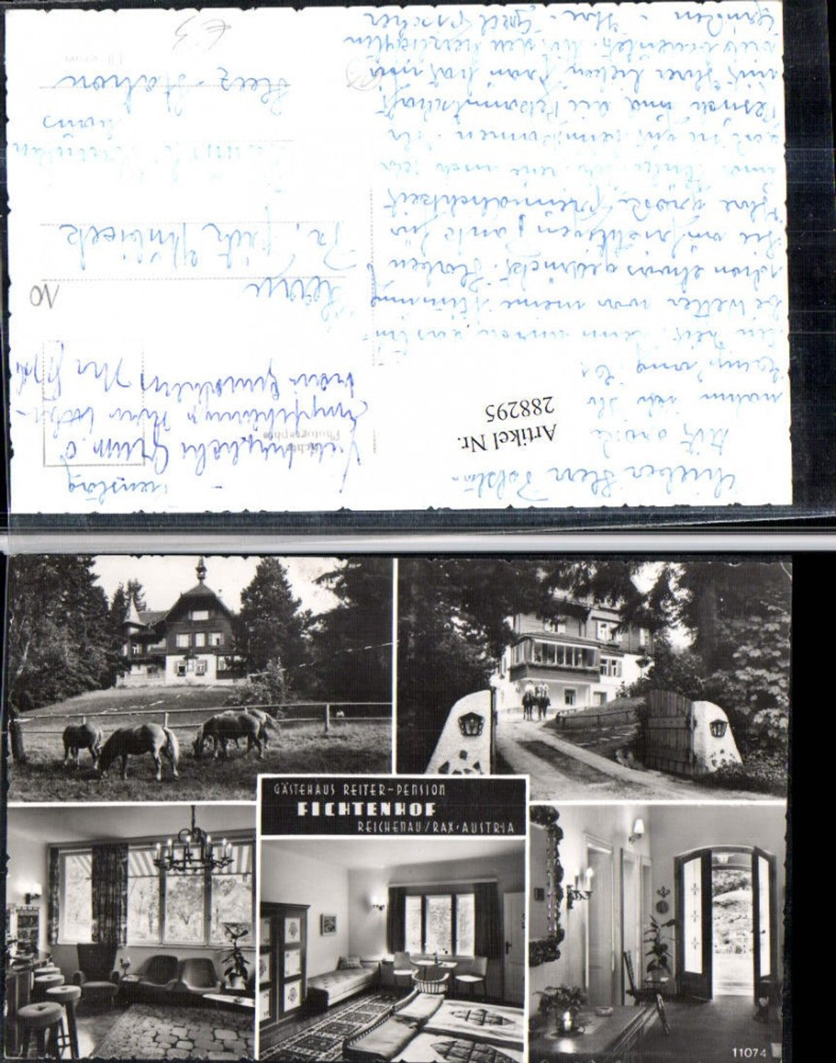 288295,Reichenau an d. Rax Gästehaus Fichtenhof Pferde Mehrbildkarte