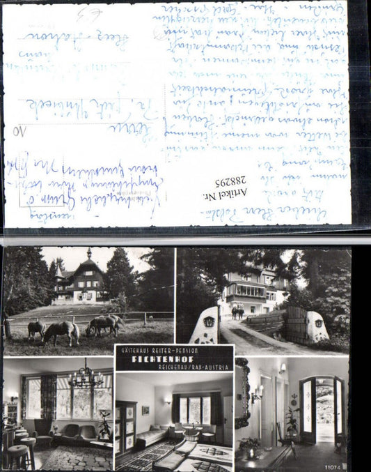 288295,Reichenau an d. Rax Gästehaus Fichtenhof Pferde Mehrbildkarte