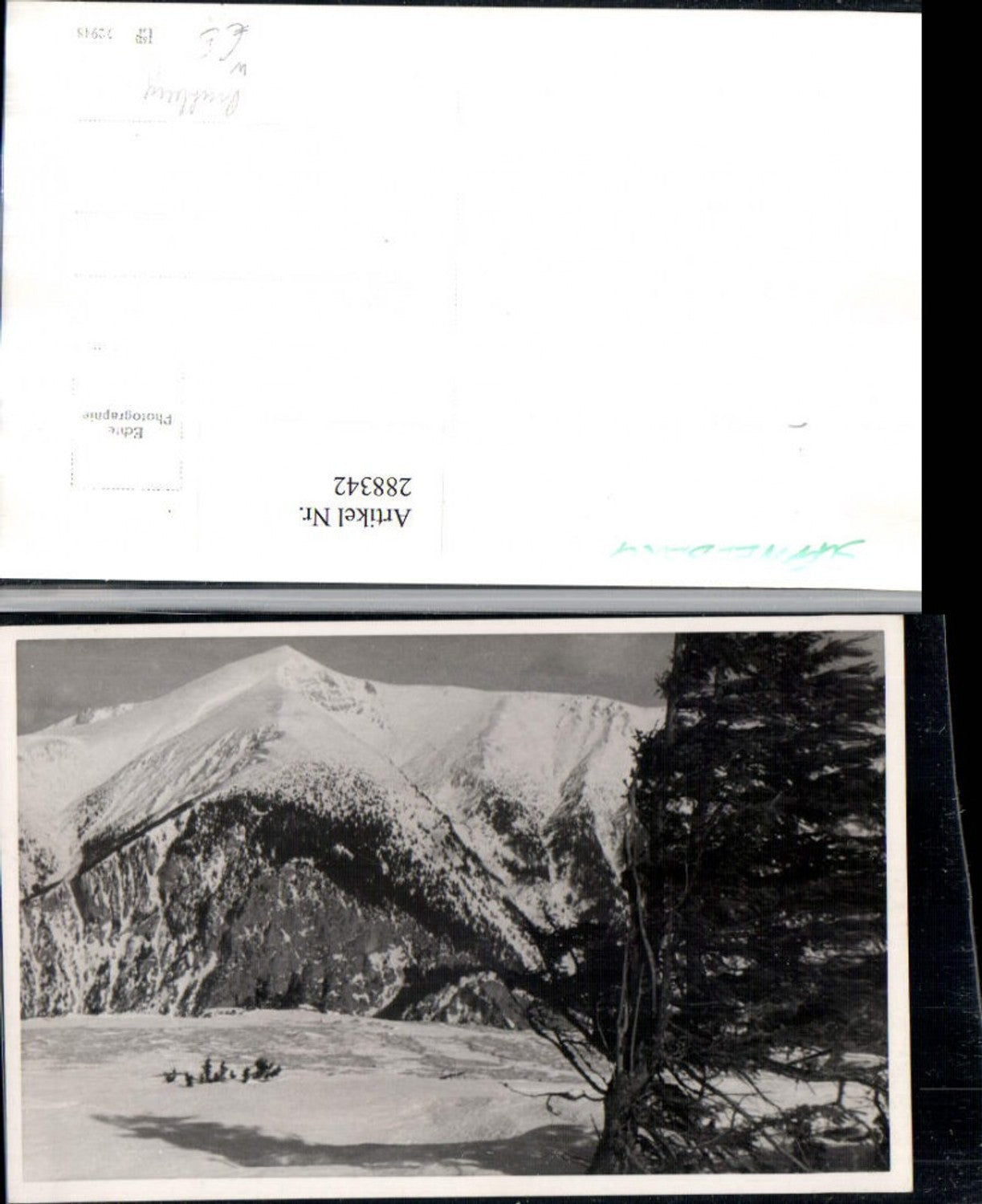 288342,Foto AK Schneeberg Bergkulisse Winterbild b. Puchberg