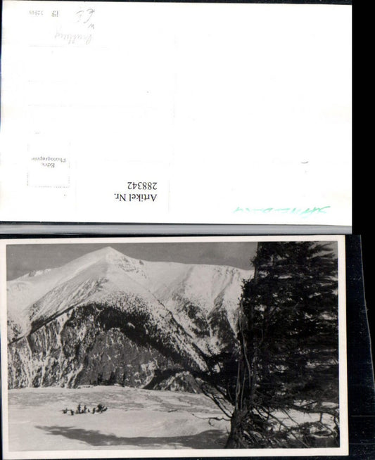 288342,Foto AK Schneeberg Bergkulisse Winterbild b. Puchberg