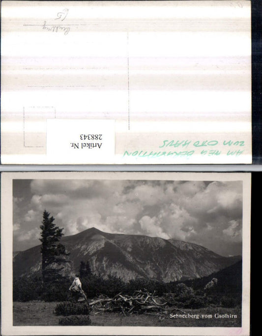 288343,Schneeberg vom Gsolhirn am Weg zum Ottohaus Bergkulisse b. Reichenau