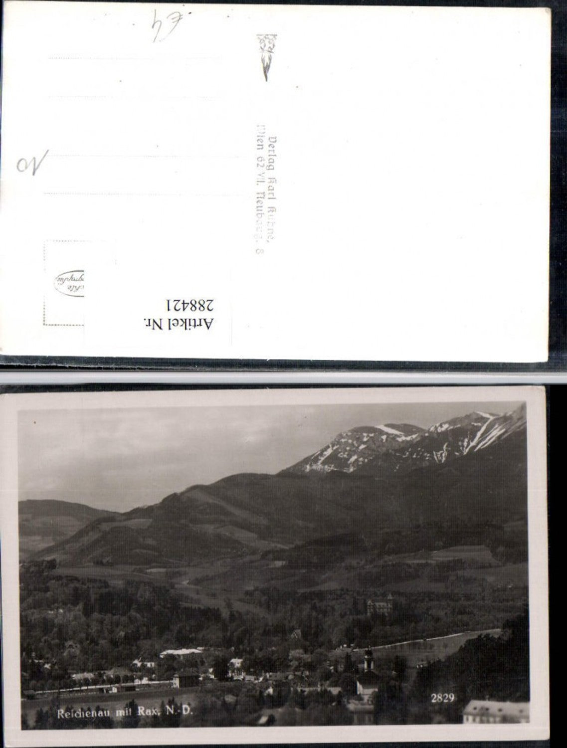 288421,Reichenau Totale m. Rax Bergkulisse