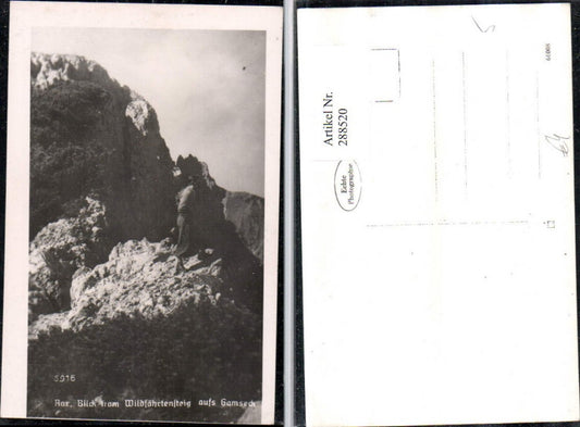 288520,Rax Blick vom Wildfährtensteig aufs Gamseck b. Reichenau