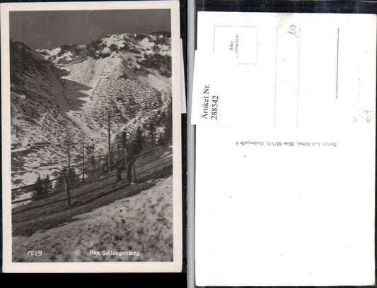 288542,Rax Schlangenweg Bergkulisse Winterbild b. Prein