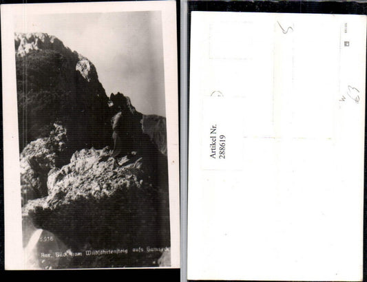 288619,Rax Blick v. Wildfährtensteig aufs Gamseck b. Reichenau