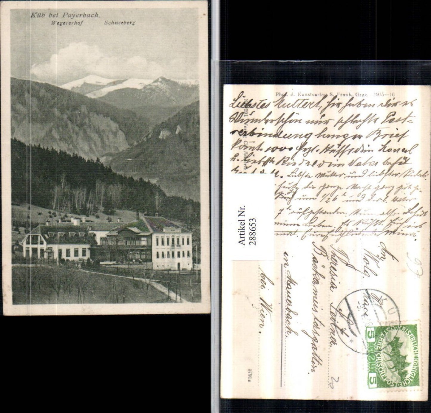 288653,Küb b. Payerbach Wegerhof m. Schneeberg Bergkulisse