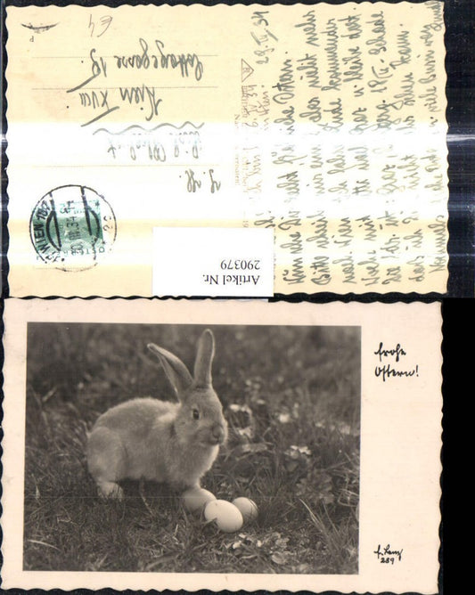 290379, Photo Easter Bunny with eggs Easter eggs