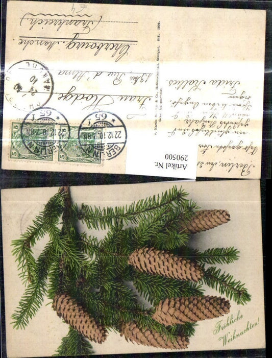 290500, Christmas fir branch cone