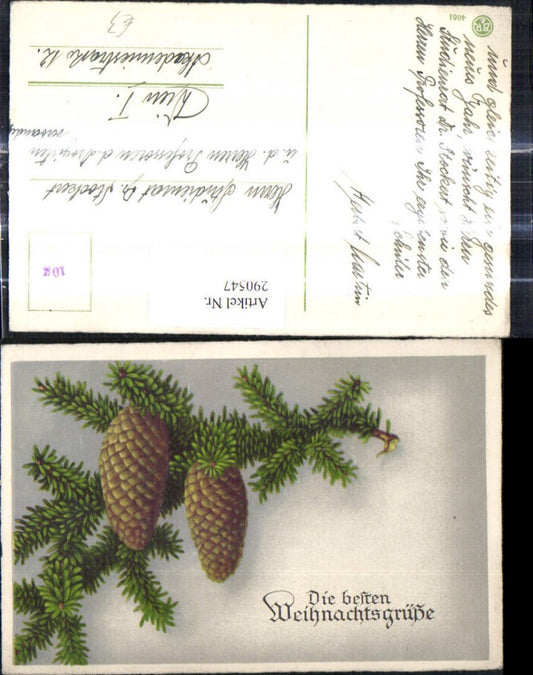 290547, Christmas fir branch cone