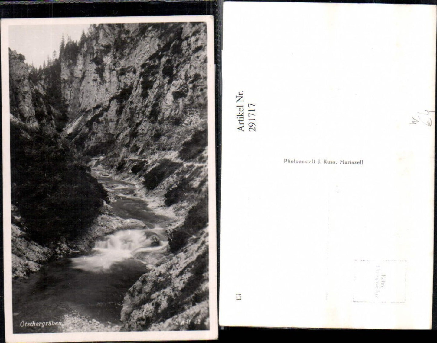 291717,Ötschergräben b. Mitterbach am Erlaufsee Partie