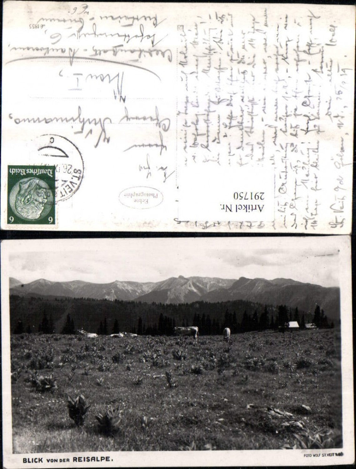 291750,Blick von d. Reisalpe Bergkulisse Rinder b. Hohenberg