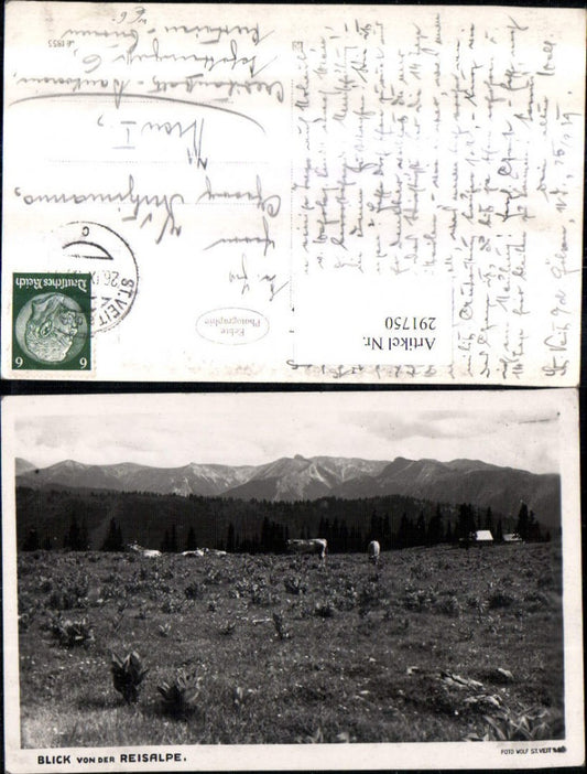291750,Blick von d. Reisalpe Bergkulisse Rinder b. Hohenberg