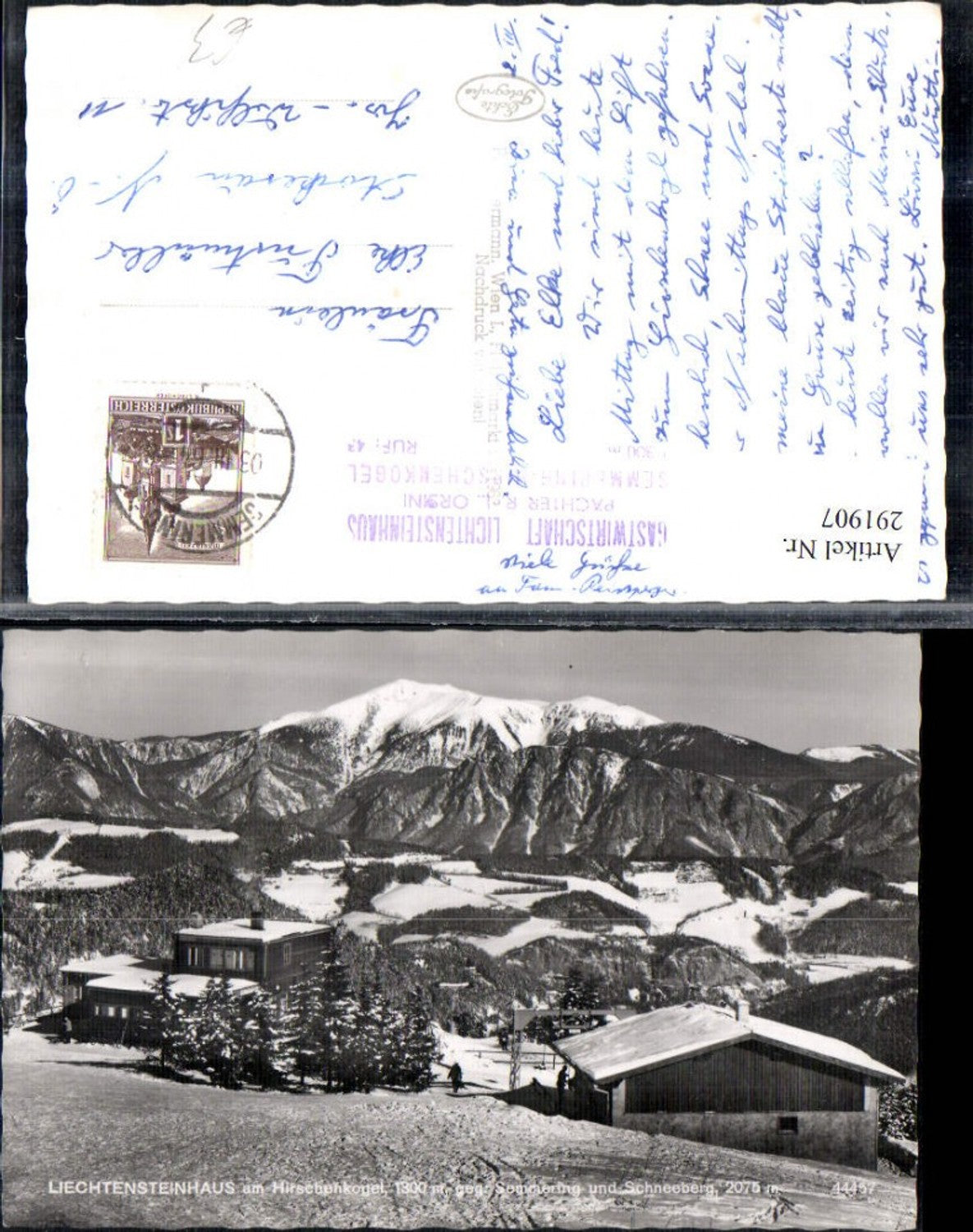 291907,Liechtensteinhaus am Hirschenkogel geg. Semmering u. Schneeberg Bergkulisse Winterbild