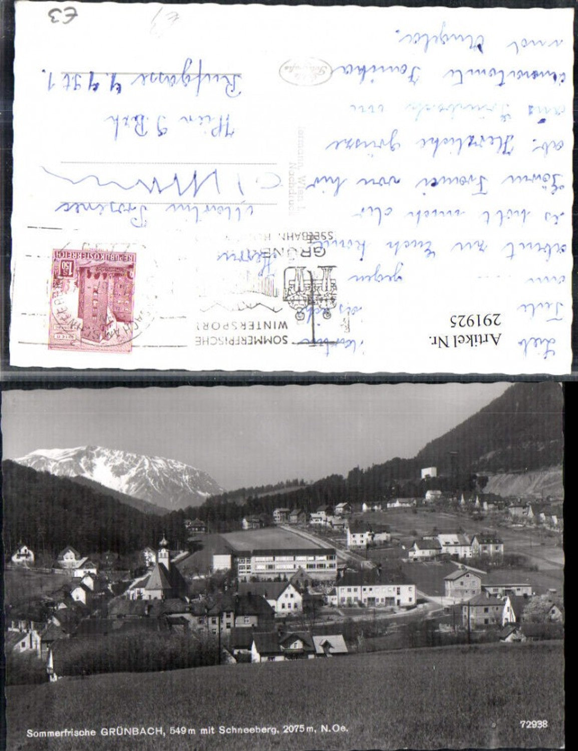 291925,Grünbach Totale m. Schneeberg Bergkulisse