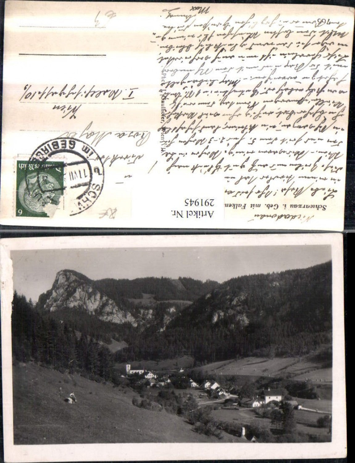 291945,Schwarzau im Gebirge Totale m. Falkenstein