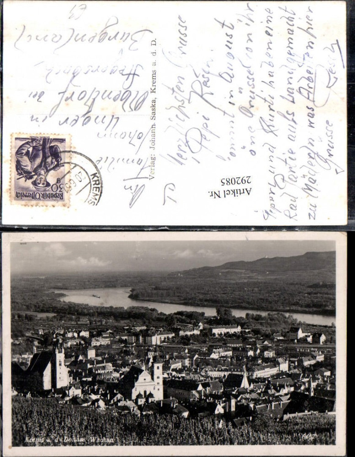 292085,Krems an d. Donau Totale Weinreben