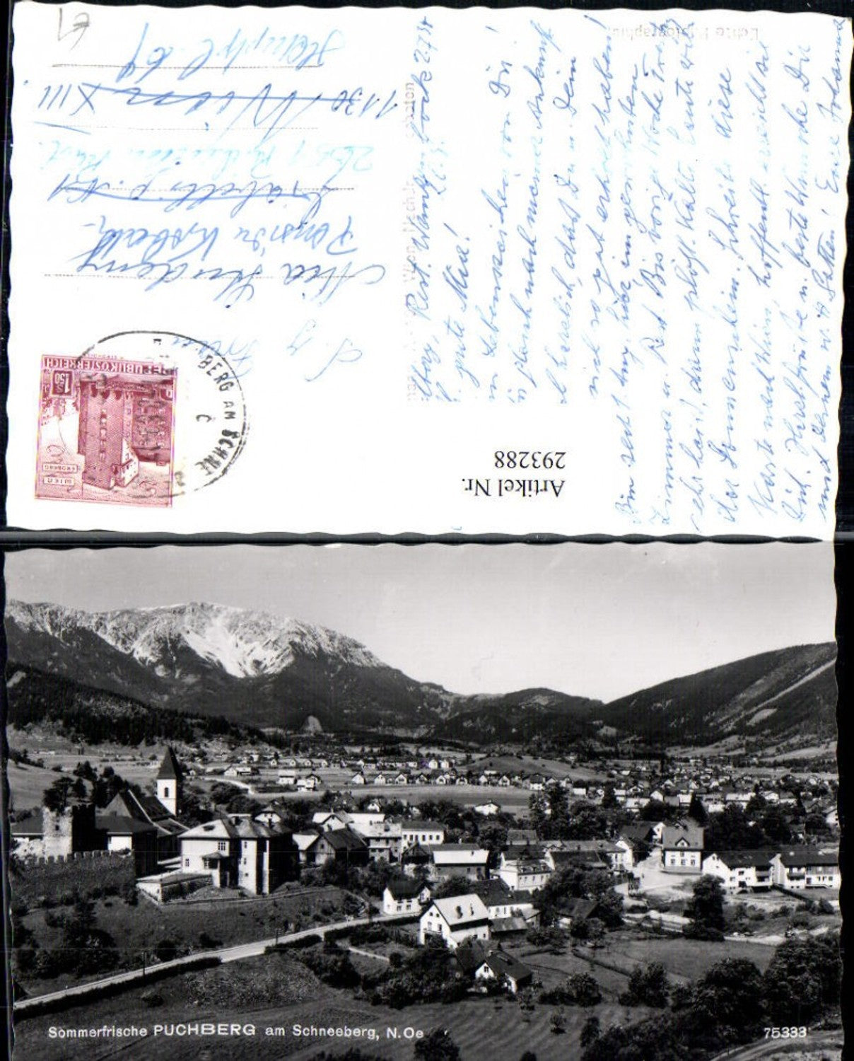 293288,Puchberg am Schneeberg Totale Bergkulisse