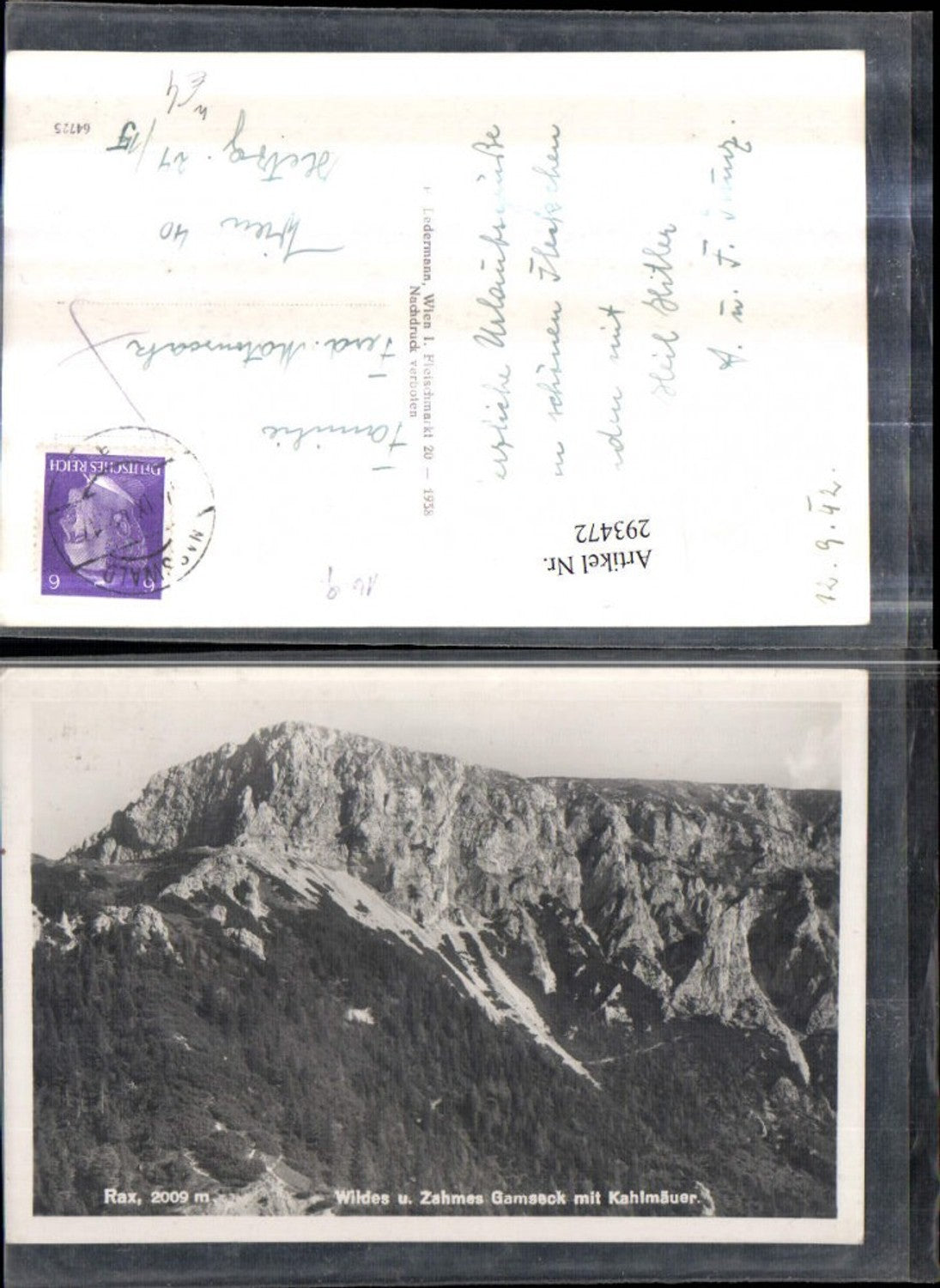 293472,Rax Wildes u. Zahmes Gamseck m. Kahlmäuer Bergkulisse b. Naßwald Schwarzau