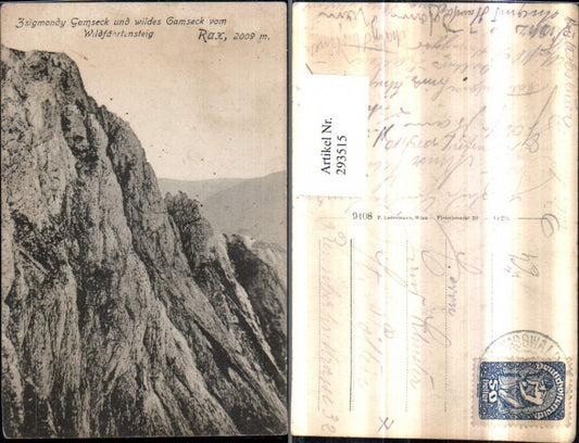 293515,Rax Zsigmondy Gamseck u. Wildes Gamseck vom Wildfährtensteig b. Naßwald