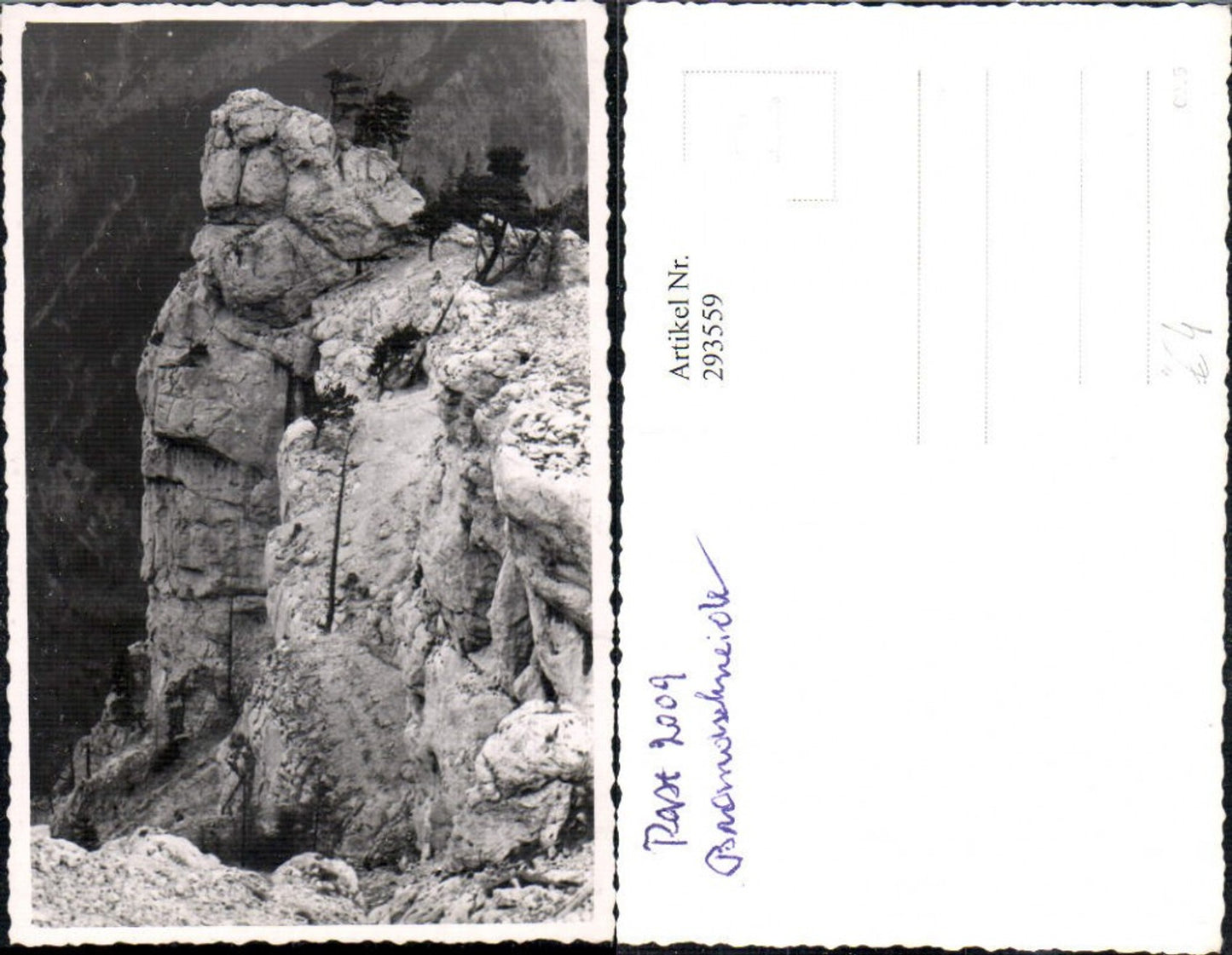 293559,Foto AK Rast Rax Brandschneide Motiv b. Reichenau