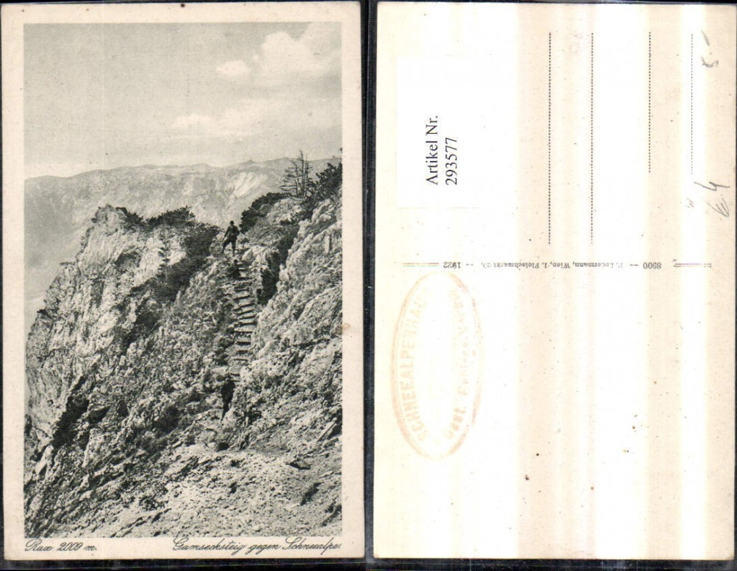 293577,Rax Gamsecksteig geg. Schneealpe Bergkulisse b. Naßwald Schwarzau