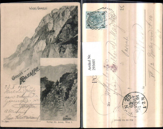 293601,Gruß von d. Raxalpe Wildes Gamseck Mehrbildkarte b. Naßwald Schwarzau