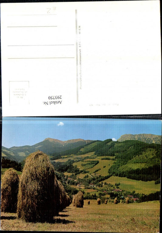 293750,Prein an d. Rax Teilansicht Heureiter Bergkulisse