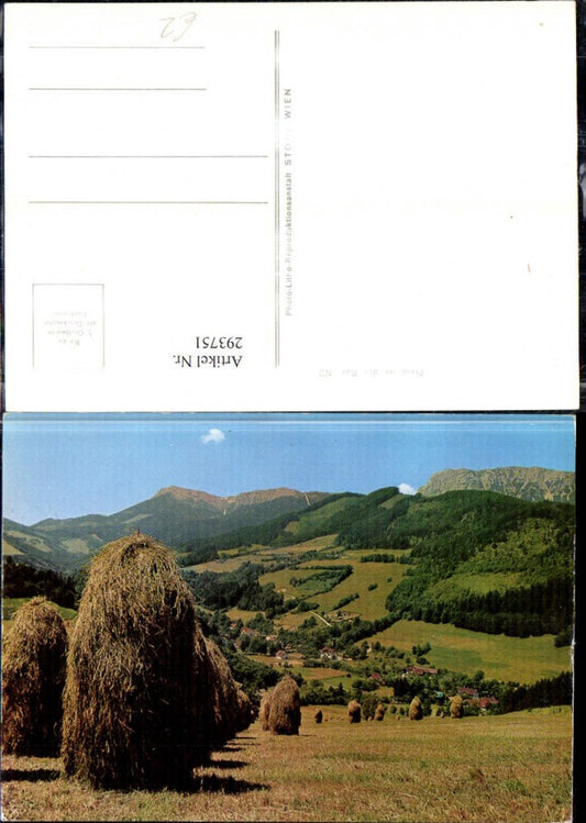 293751,Prein an d. Rax Teilansicht Heureiter Bergkulisse