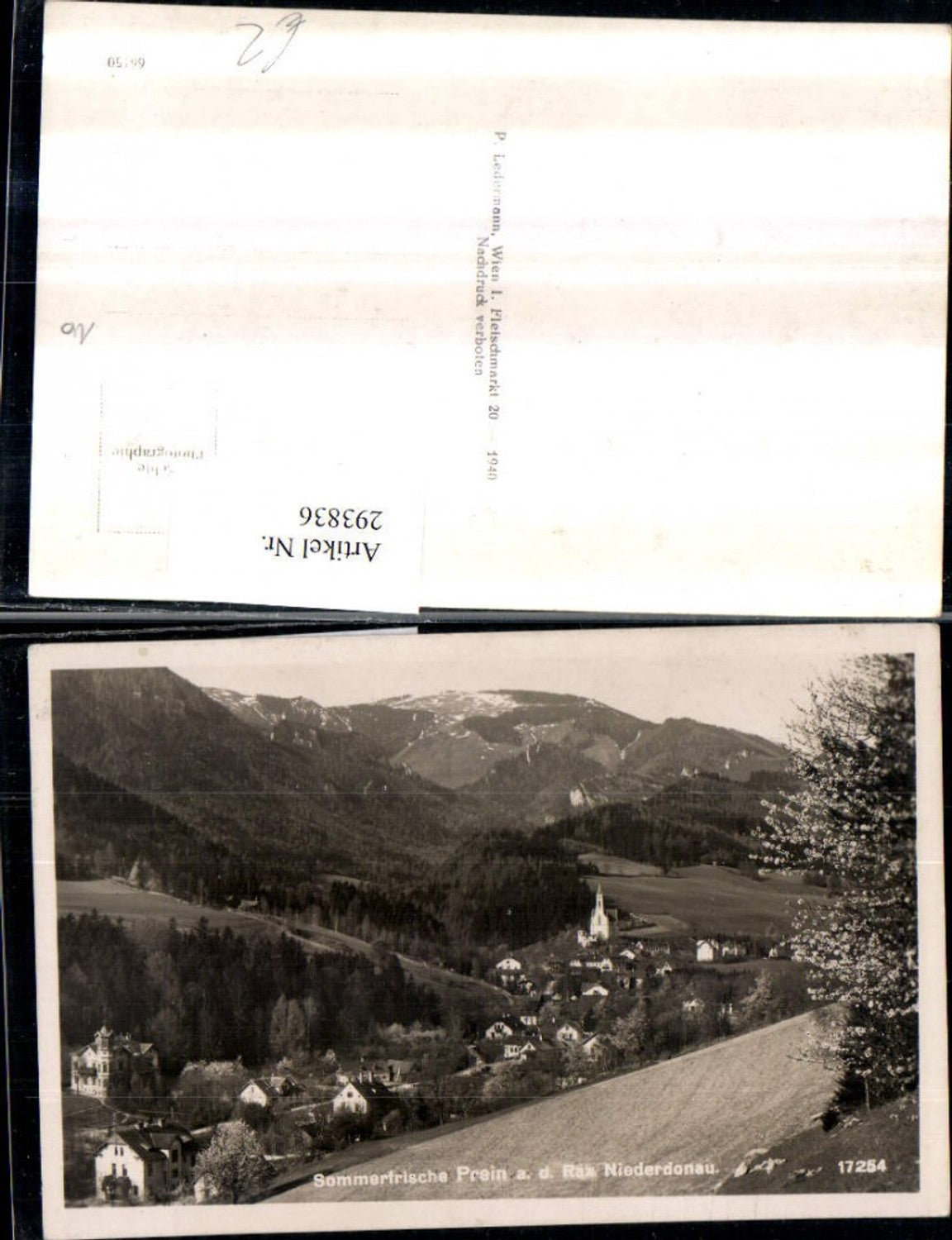293836,Prein an d. Rax Totale Bergkulisse