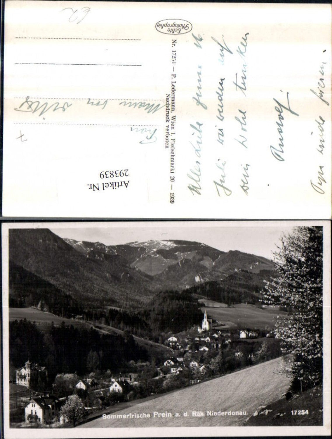 293839,Prein an d. Rax Totale Bergkulisse