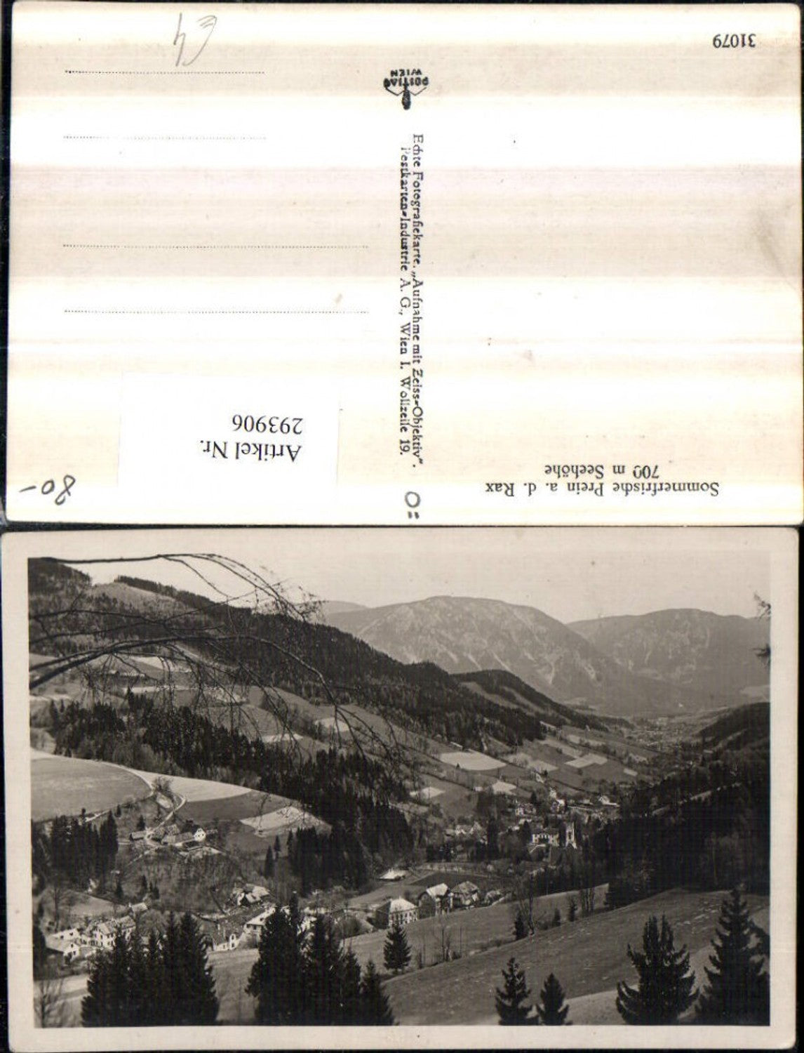 293906,Prein an d. Rax Totale Bergkulisse