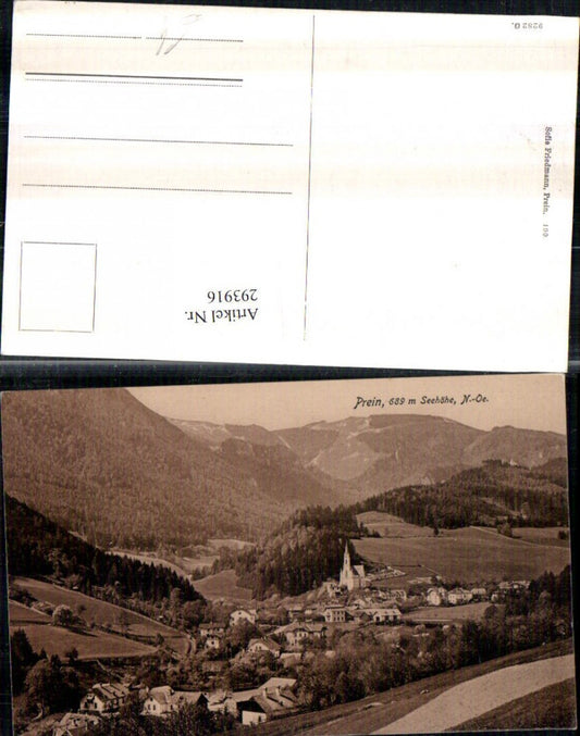 293916,Prein an d. Rax Totale Bergkulisse