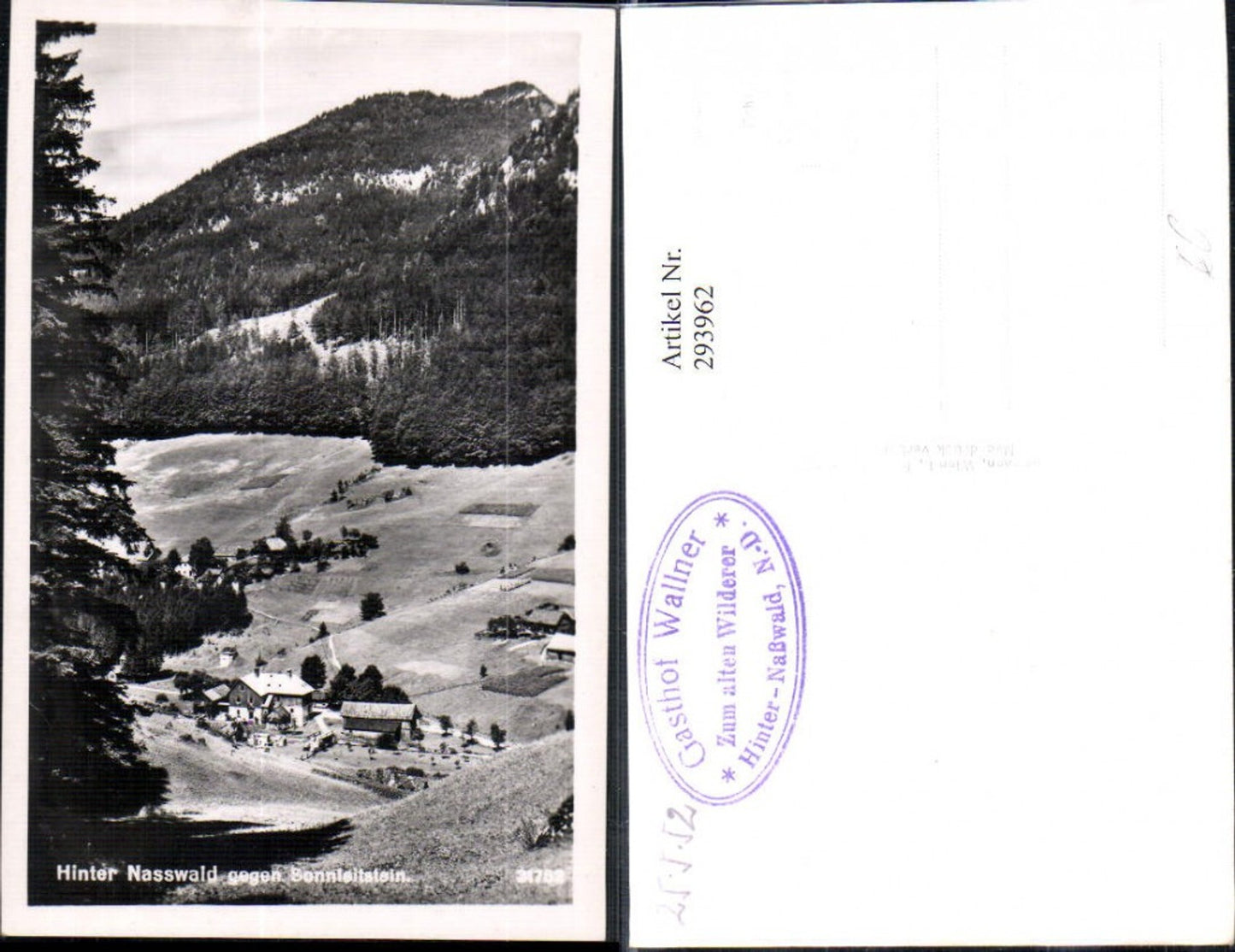 293962,Naßwald Schwarzau Gasthof Wallner geg. Sonnleitenstein